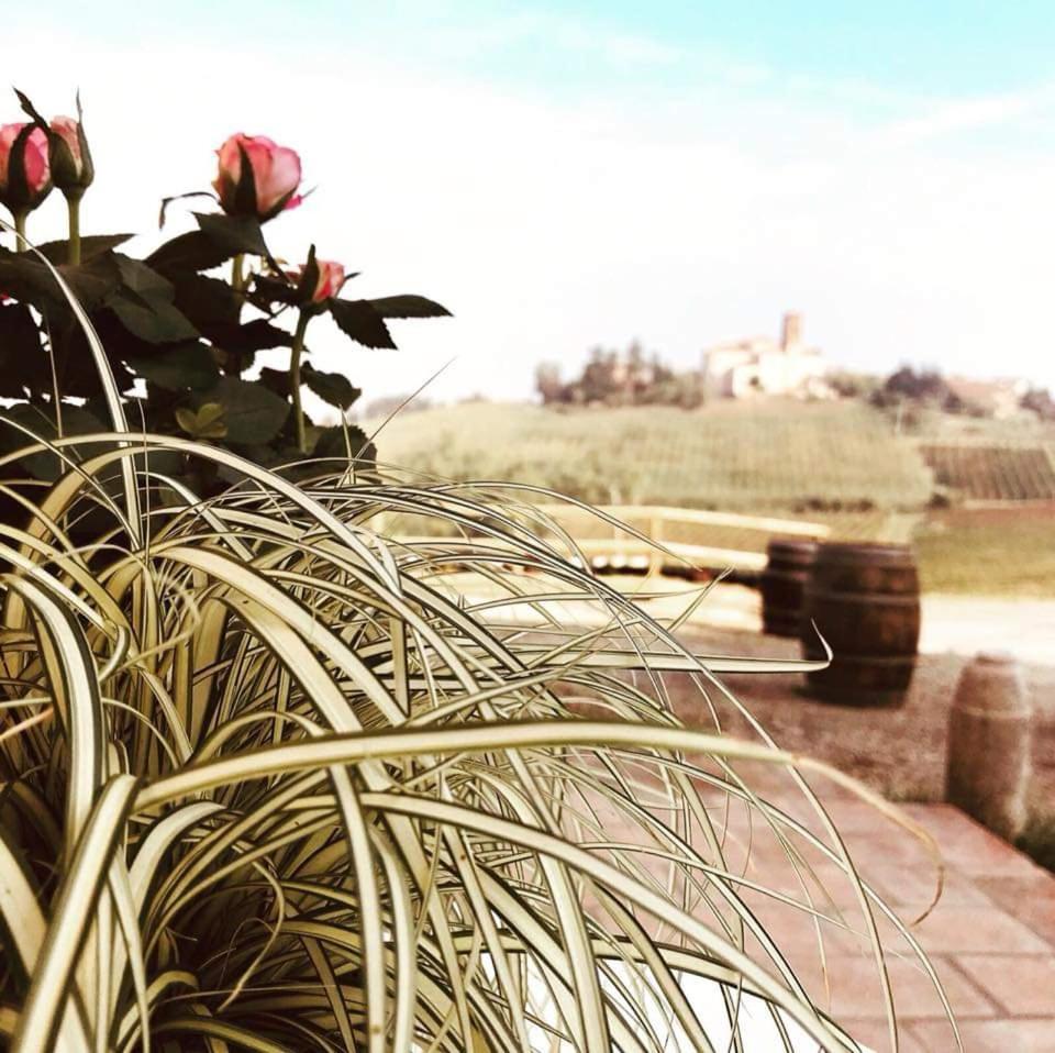 700enolocanda Inn 3*
